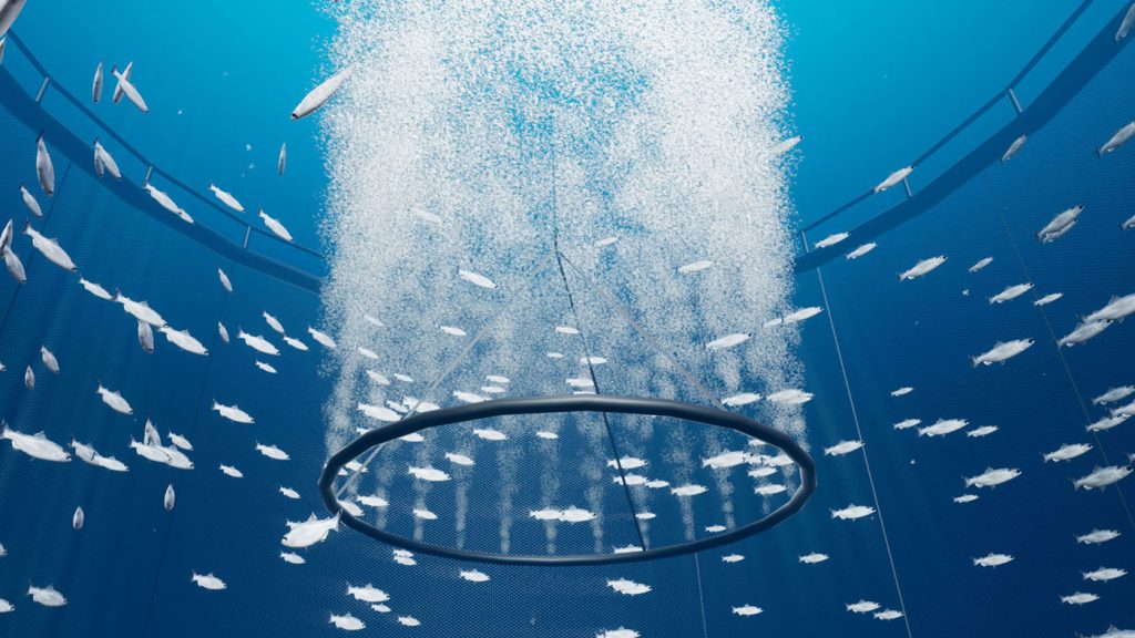 Aquaculture Pump Controller